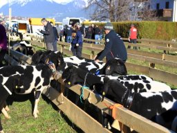 2019_ausstellung polling_025